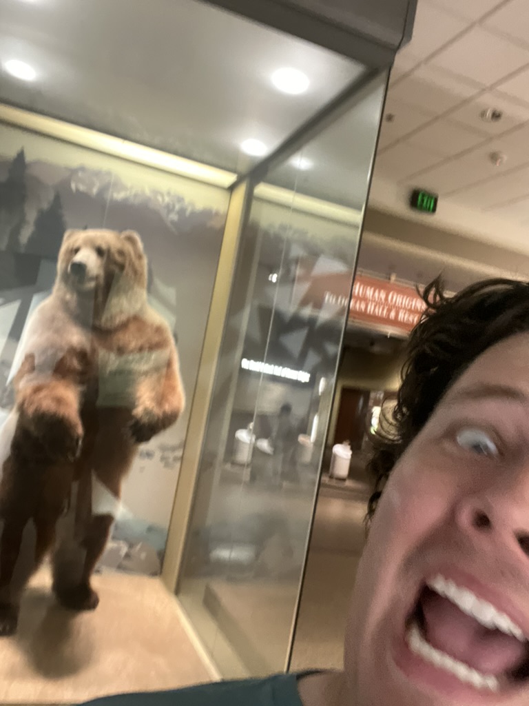 me & a bear